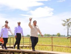 Amran Sulaiman Raih Skor Kepuasan 84,9%, Tertinggi di Kabinet Prabowo-Gibran