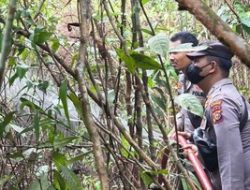 Karhutla di Kampar Riau Berhasil Dipadamkan: Tim Gabungan Kerahkan 32 Personel