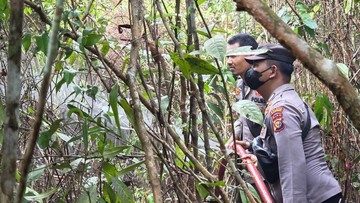 Karhutla di Kampar Riau Berhasil Dipadamkan: Tim Gabungan Kerahkan 32 Personel