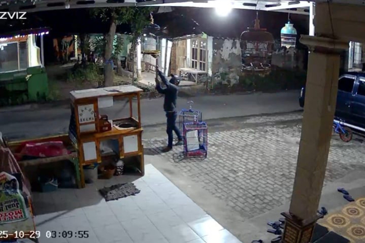 Viral! Pelaku Pencurian Burung di Madiun Ditangkap Usai Aksi Bareng Anak Kandung