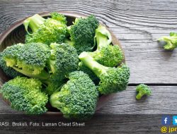 9 Makanan Tinggi Protein untuk Diet Sehat dan Cepat Turunkan Berat Badan