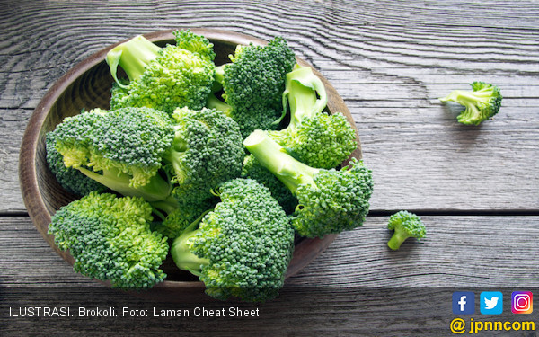 9 Makanan Tinggi Protein untuk Diet Sehat dan Cepat Turunkan Berat Badan