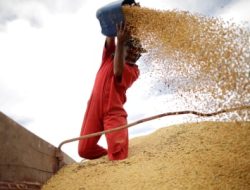 China Buka Impor Kedelai AS: Sinyal Positif Hubungan Dagang AS-China