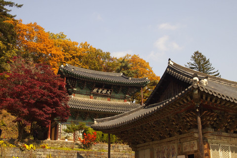 Diskon 50% Templestay Korea November 2025: Pengalaman Spiritual & Wisata Unik