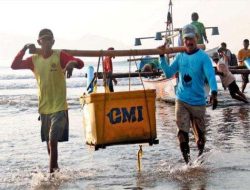 Blue Economy Indonesia: Solusi Pangan Laut Dunia 2050