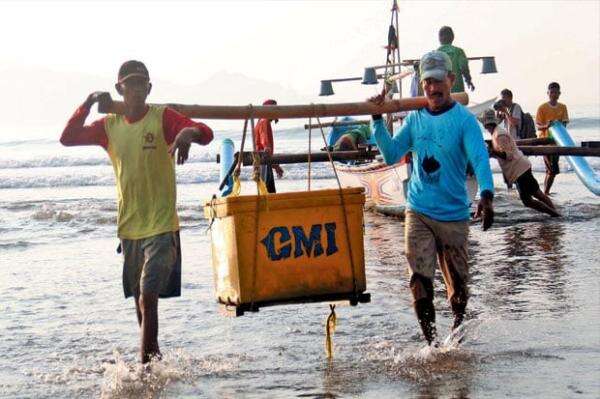 Blue Economy Indonesia: Solusi Pangan Laut Dunia 2050