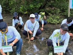 ASDP Tanam 3.000 Bibit Mangrove di Bitung untuk Kurangi Emisi Karbon