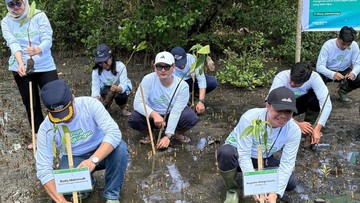 ASDP Tanam 3.000 Bibit Mangrove di Bitung untuk Kurangi Emisi Karbon