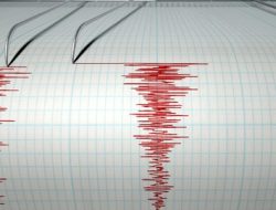 Gempa 6,7 SR Guncang Iwate Jepang, Peringatan Tsunami 1 Meter Dikeluarkan