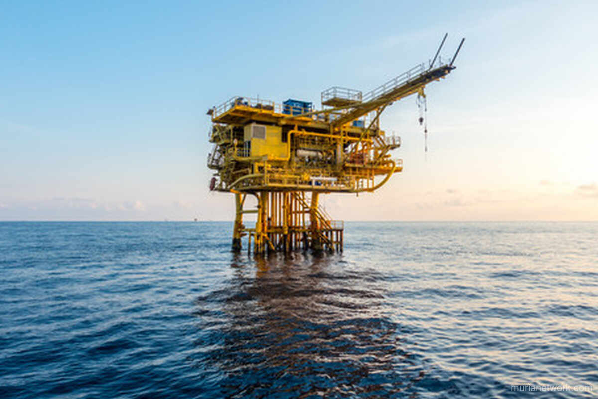 Update Harga Minyak Mentah, Batu Bara, dan Nikel Hari Ini Menguat, CPO Melemah