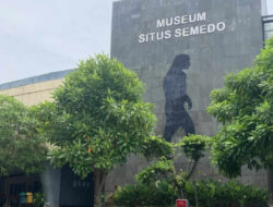 Museum Semedo Tegal: Wisata Sejarah Fosil Manusia Purba & Edukasi Arkeologi