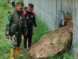 Batu Raksasa Jatuh di Lembang: Warga Khawatir Tanda Aktivitas Sesar Lembang?