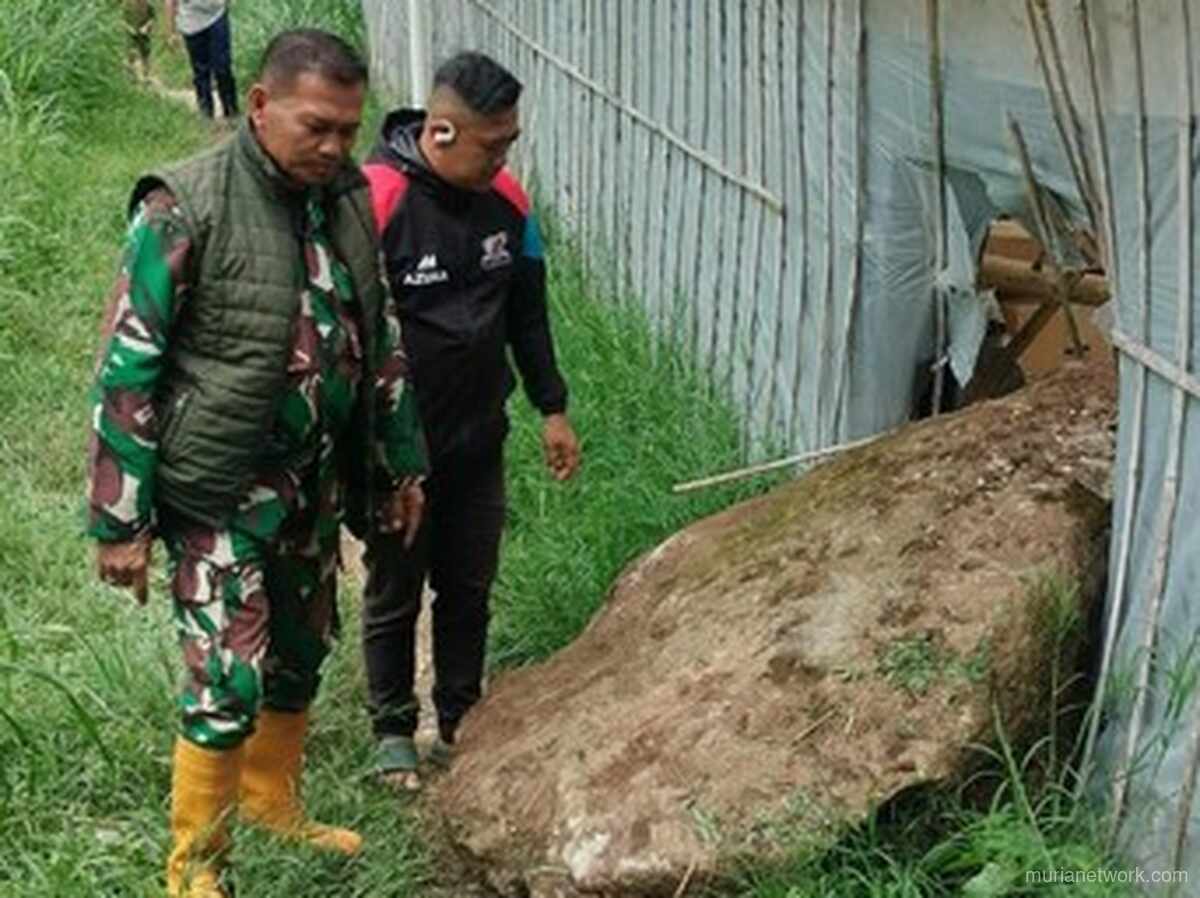 Batu Raksasa Jatuh di Lembang: Warga Khawatir Tanda Aktivitas Sesar Lembang?