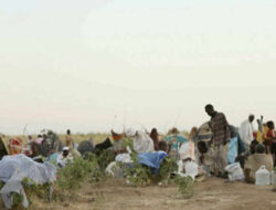 RSF Dituding Sembunyikan Bukti Pembantaian Massal di El-Fasher, Sudan