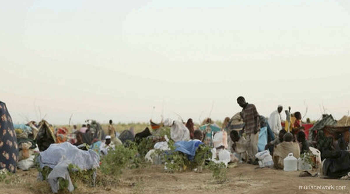 RSF Dituding Sembunyikan Bukti Pembantaian Massal di El-Fasher, Sudan