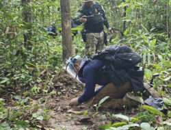 Thailand Hentikan Perjanjian Damai dengan Kamboja: Dampak dan Kronologi Insiden Ranjau