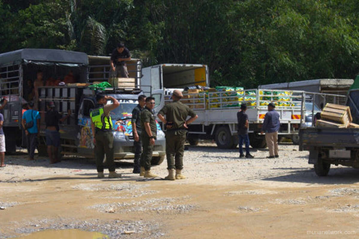 Operasi Gabungan RI-Malaysia Sita 257 Tanduk Rusa Ilegal di Perbatasan Bengkayang