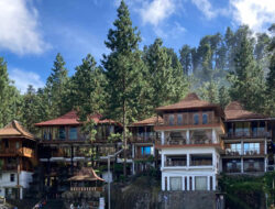 Guci Forest Tegal: Wisata Air Panas, Villa & Jeep Off-Road Terlengkap