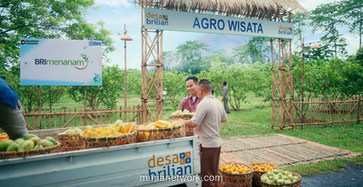 BRI Capai 4.909 Desa lewat Program Desa BRILiaN, Pacu Ekonomi Inklusif