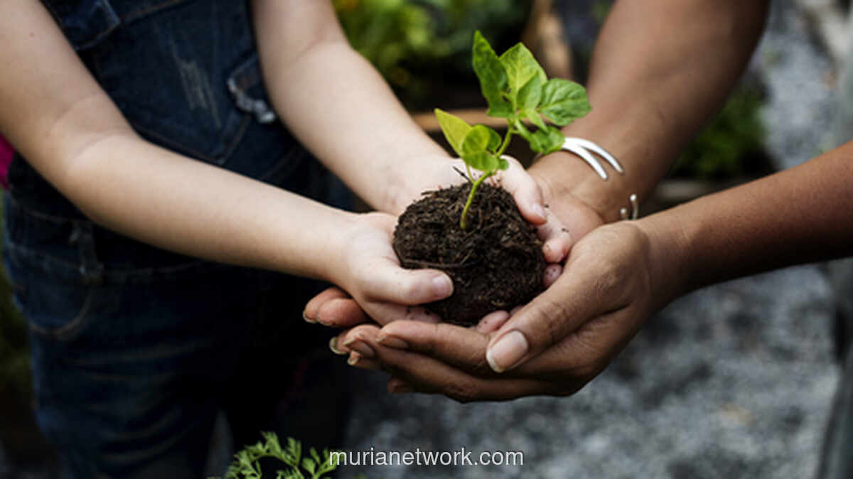 Wakaf Pohon untuk Pengantin: Kemenag Tanam 500 Ribu Pohon & Kurangi Emisi 8.800 Ton CO2