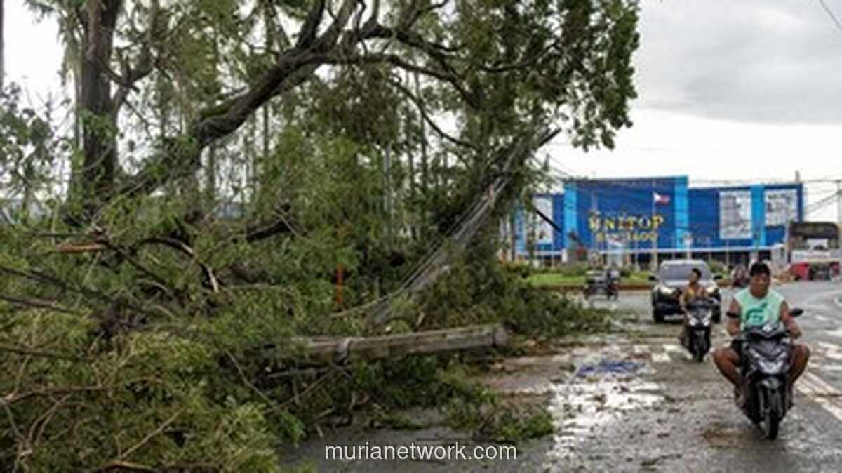 Topan Fung-wong Landa Filipina: 18 Tewas & 1,4 Juta Mengungsi, Operasi Penggalian Darurat Dilakukan