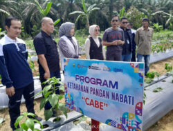 Desa Bukit Makmur Juara Desa Terbaik Nasional BRILiaN Village 2025: Rahasia Suksesnya