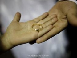 Bimbingan Perkawinan Sukses Turunkan Angka Perceraian Indonesia 14,9% di 2024