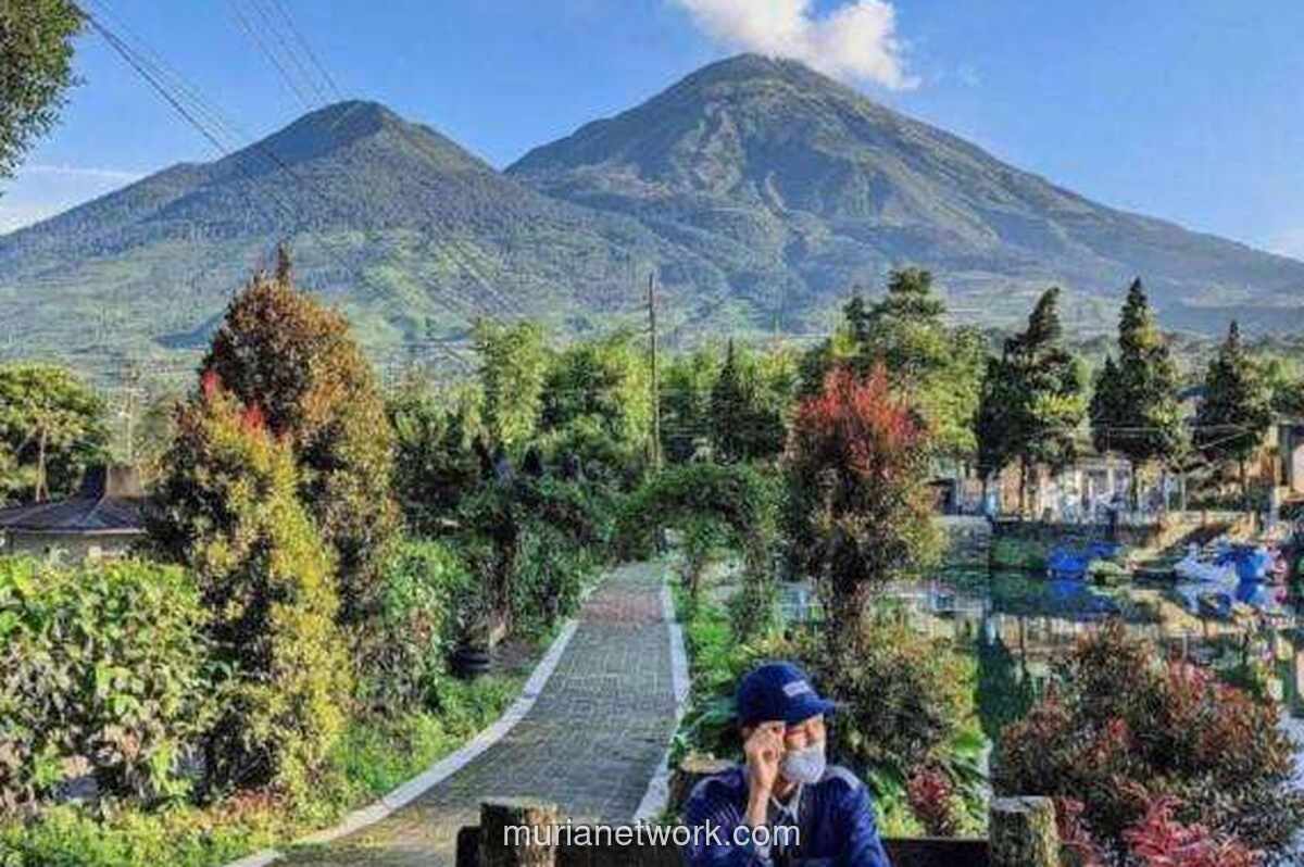 3 Jalur Alternatif Jogja Wonosobo Tercepat 2024: Hindari Macet & Nikmati Pemandangan