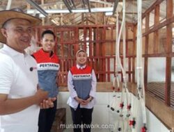 Kisah Sukses Telaga Rizki 21: Dari Kandang Bambu Raih Omset Ratusan Juta