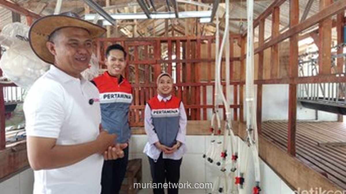 Kisah Sukses Telaga Rizki 21: Dari Kandang Bambu Raih Omset Ratusan Juta