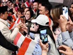 Sambutan Hangat Diaspora Indonesia untuk Prabowo di Sydney: Kesan Haru & Dukungan Penuh