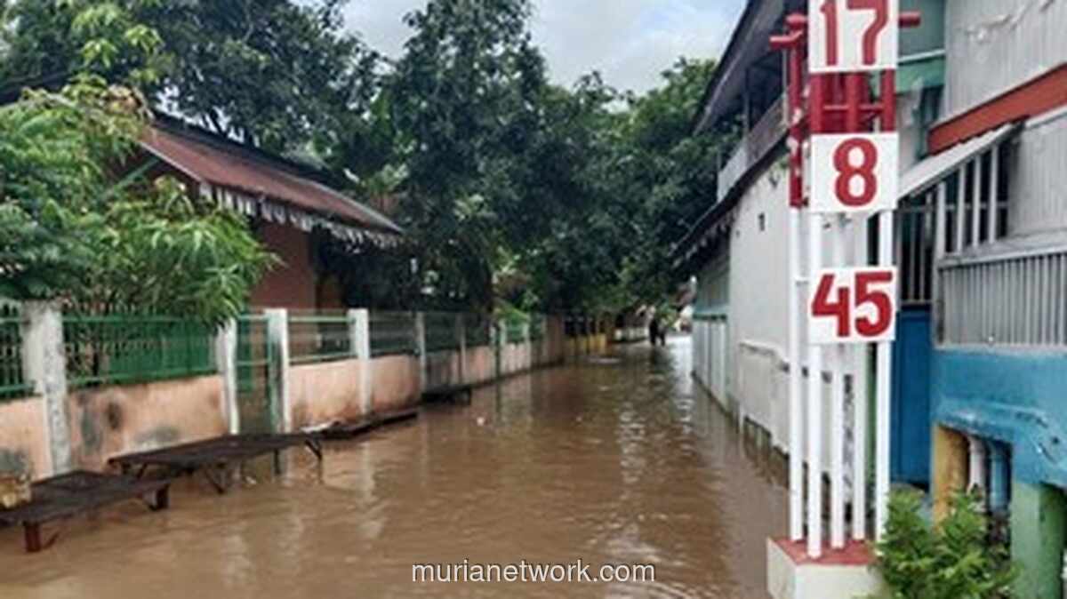 Banjir Bandang di Dompu Landa 2 Kecamatan, Ratusan Rumah Terendam - Data & Dampak