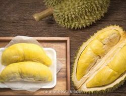 Usulan Durian Jadi Buah Nasional Malaysia: Dukung Langkah & Manfaatnya