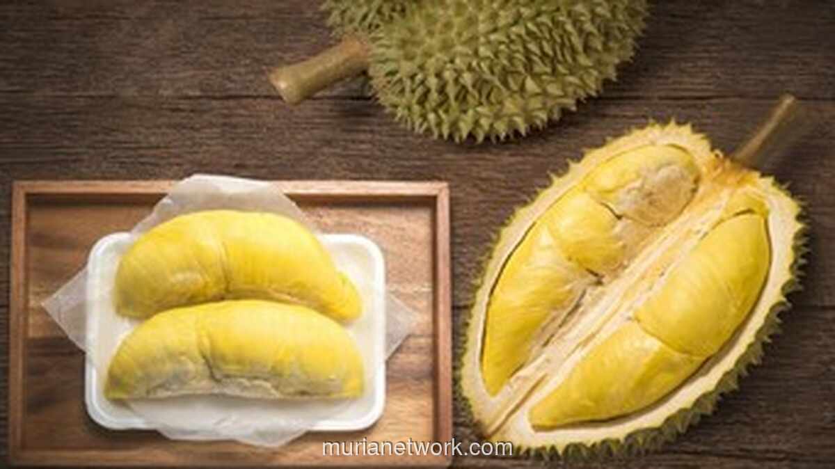 Usulan Durian Jadi Buah Nasional Malaysia: Dukung Langkah & Manfaatnya