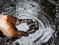 Harga Minyak Mentah Menguat: Analisis Dampak Sanksi Rusia & Optimisme Pasar AS