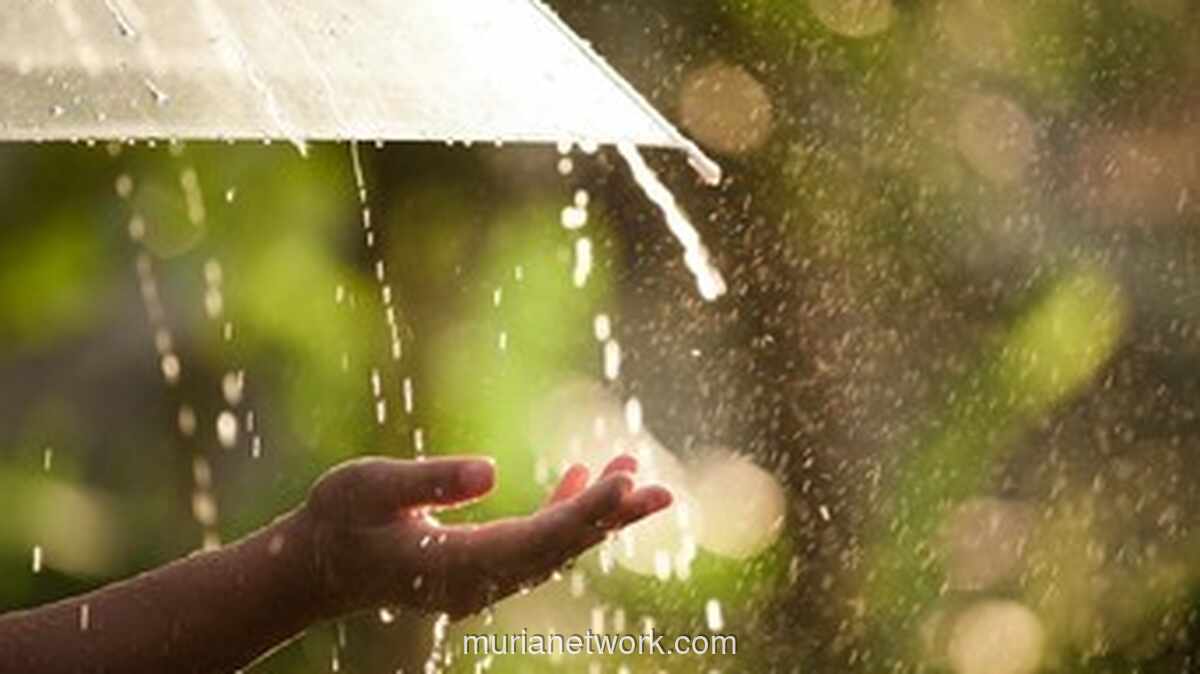 Peringatan Dini BMKG: Cuaca Ekstrem Banten 12-16 November 2025, Waspada Banjir & Angin Kencang