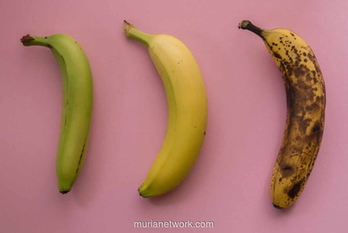Cara Menyimpan Pisang Agar Tidak Cepat Matang dan Busuk, Ampuh Tahan 2 Minggu!