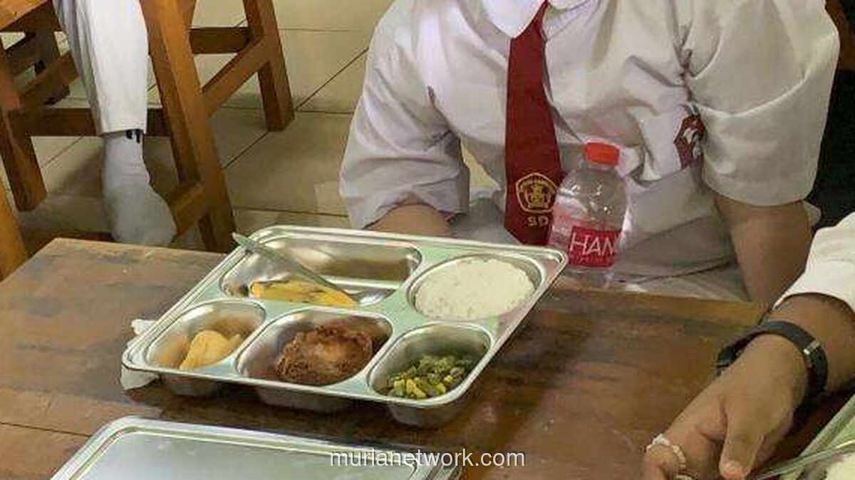 48% Kasus Keracunan di Indonesia Ternyata dari Program MBG, 211 Laporan Terkait!