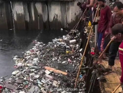 Waspada! Pemkot Surabaya Perketat Aturan Buang Sampah, Denda Capai Rp50 Juta
