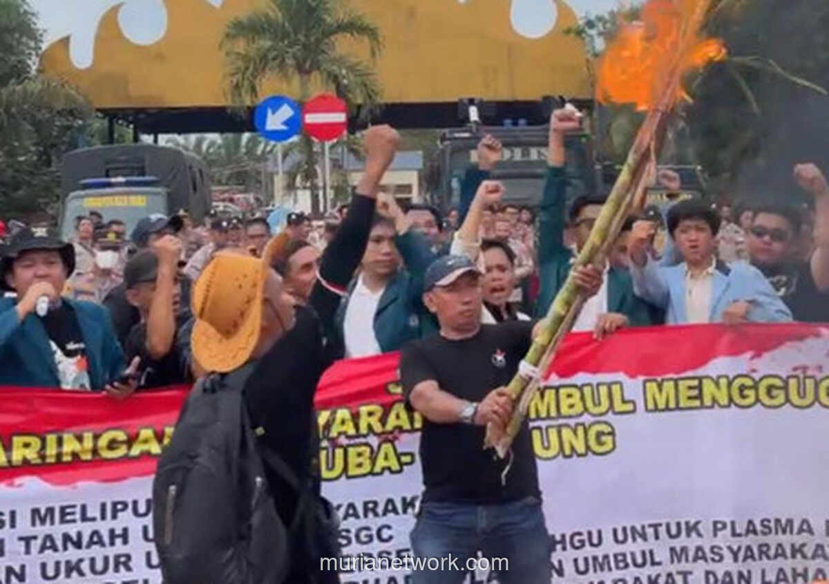 Konflik Lahan Tulang Bawang: Aksi Bakar Tebu & 5 Tuntutan ke Pemerintah