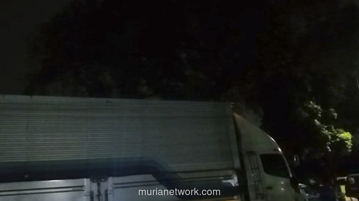 Kronologi Lengkap Pria Depresi Mengamuk di Atas Truk Depok Berakhir Diamankan Polisi