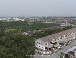 CSIS Tambah 2 KBLI Baru, Siap Jadi Holding Real Estate Grup Olympic