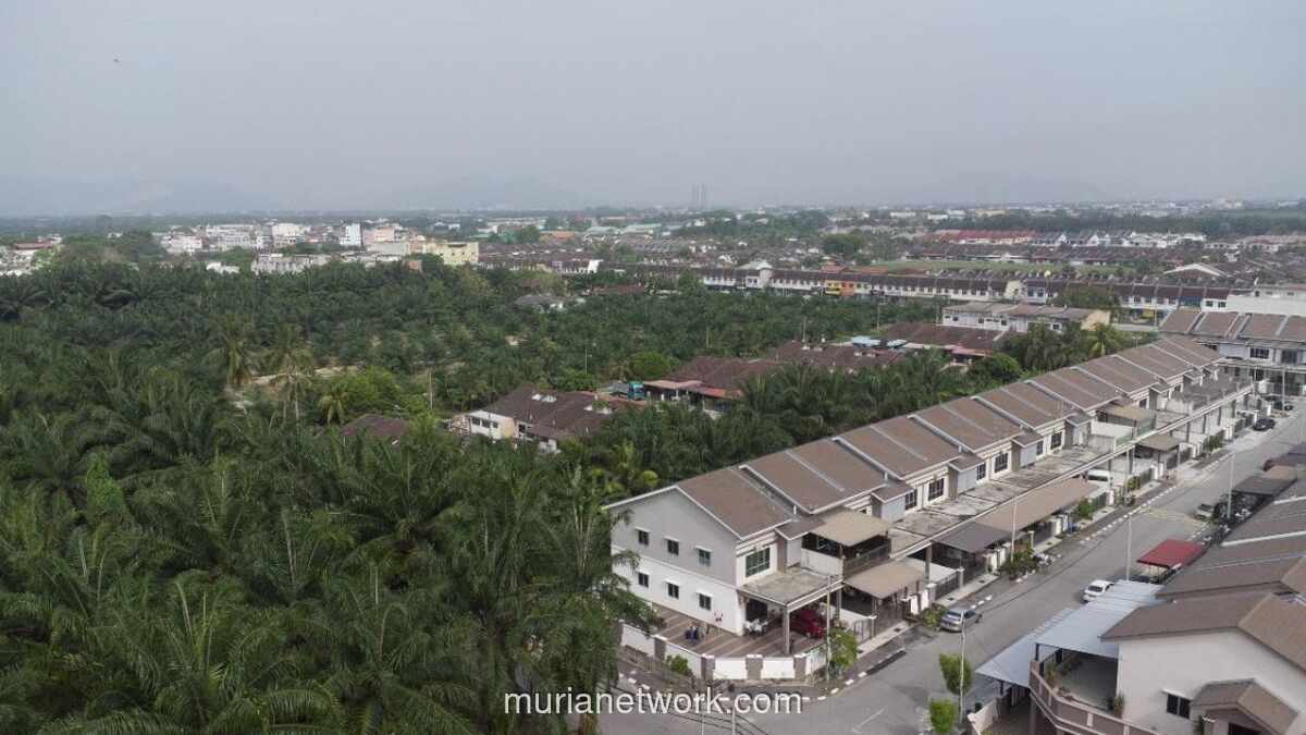 CSIS Tambah 2 KBLI Baru, Siap Jadi Holding Real Estate Grup Olympic