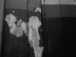 Kepemimpinan Jujur dan Tegas: Kunci Indonesia Dipercaya Dunia