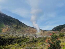 Gunung Papandayan Garut: Panduan Lengkap Pendakian, Kawah & Hutan Mati