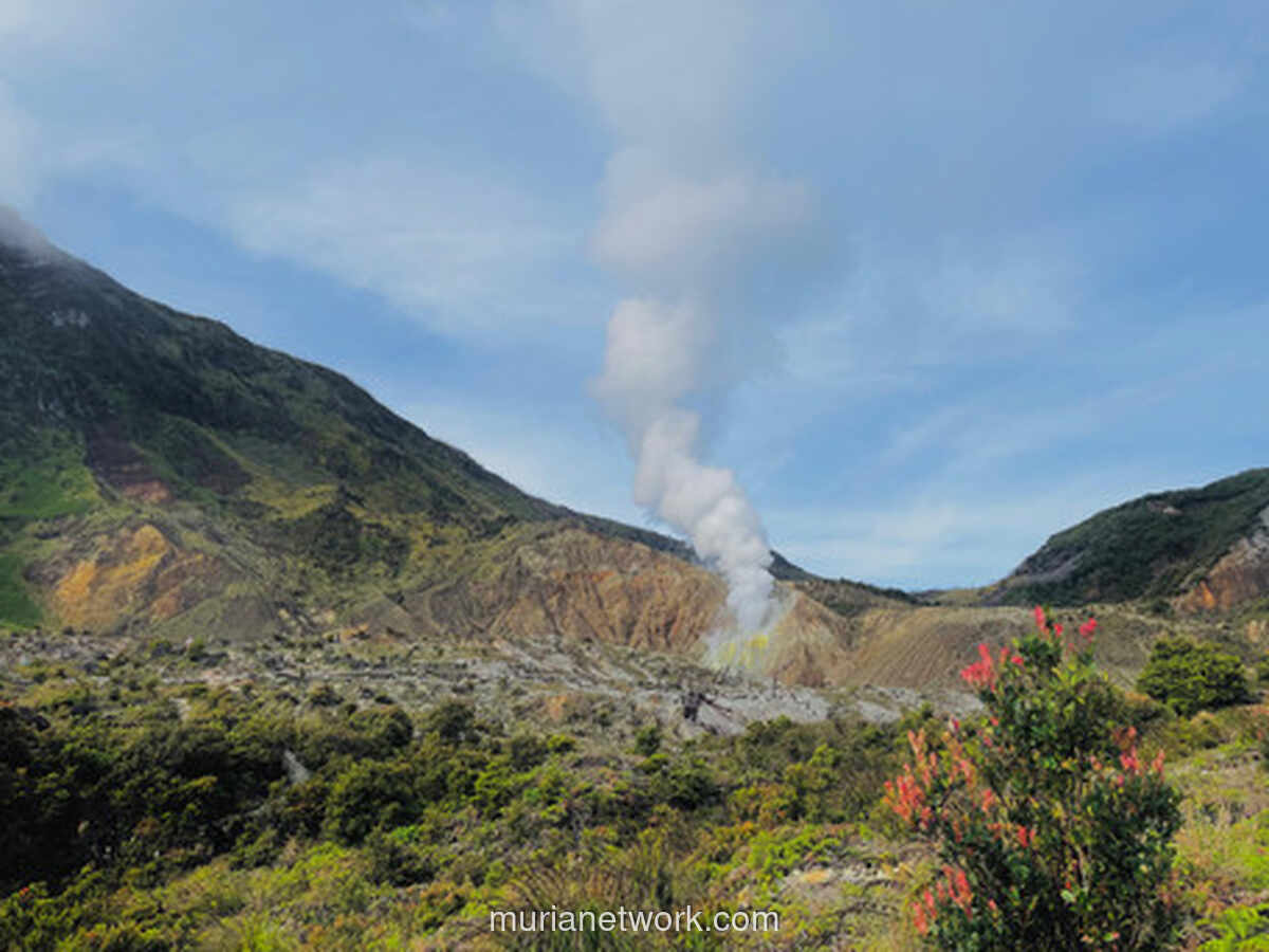 Gunung Papandayan Garut: Panduan Lengkap Pendakian, Kawah & Hutan Mati