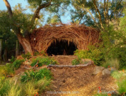 Elphabas Retreat by Airbnb: Penginapan Eksklusif Terinspirasi Film Wicked