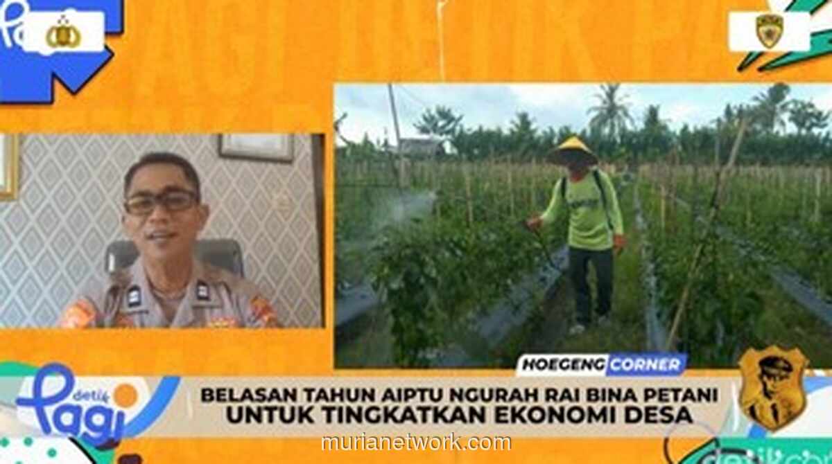 Kisah Sukses Aiptu I Gustu Ngurah Rai: Ubah Pertanian Tadah Hujan Jembrana Hasilkan 30% Lebih Panen