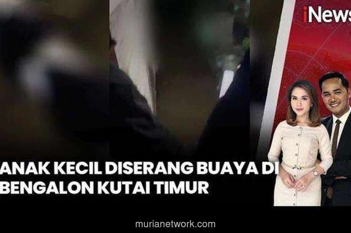 Video Serangan Buaya di Kutai Timur: Bocah 10 Tahun Diselamatkan Warga dari Kolong Rumah