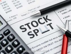 Stock Split: Pengertian, Jenis, dan Dampaknya bagi Investor Pemula